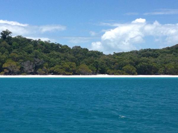 great barrier reef.jpg