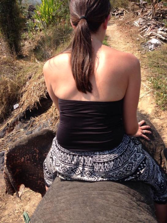 riding an elephant.jpg